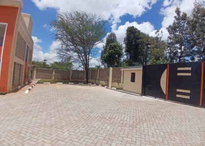 Neema-gate-2