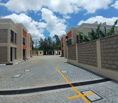 Neema-drive-way